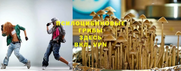 амф Аркадак